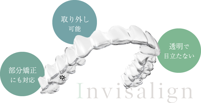 取り外し可能、部分矯正にも対応、透明で目立たない