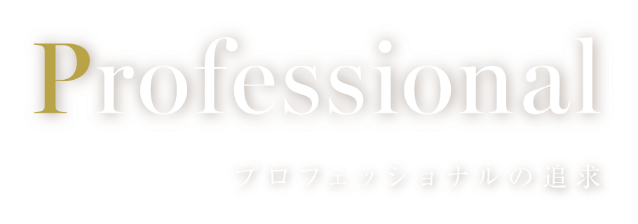 Professional：プロフェッショナルの追求